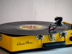 Игла на винилу - Александар Нећак