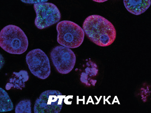 Кућа науке: Институт Михаило Пупин