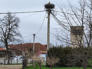 Тајна Жикине Тургуње