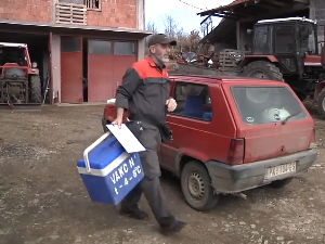 Прокупље: Посао ветеринара, некад и сад