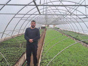 Квадратура круга - Кад би сви као Тосовићи