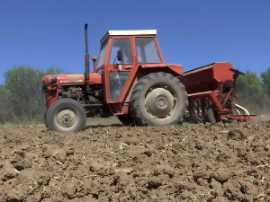 Зашто се у врањском крају ретко сеје соја