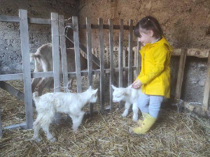 Квадратура круга-Најмлађе село у Србији