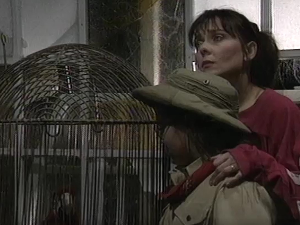 Метла без дршке: Тајна веселог мајмунчета 6-8