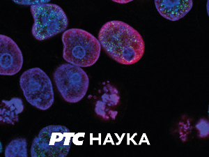 Српска музика кроз векове: Прашка школа