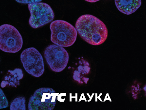 Еко перспективе: Винча нови живот