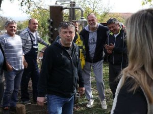 ТВ Лица као сав нормалан свет-Ненад Јанковић др Неле Карајлић