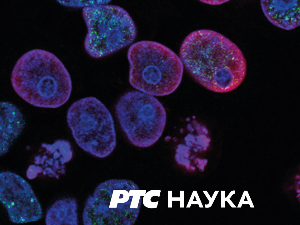 Српски јунаци средњег века: Југ Богдан