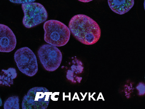 Српски академици:	Василије Крестић