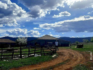 Знање имање: Кад се село воли!