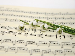 Вокални ансамбли - Београдски камерни хор