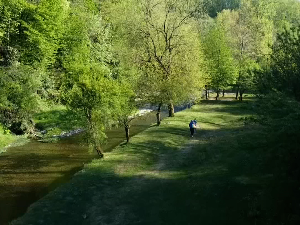 Како се чува клисура реке Градац