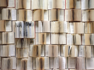 Предраг Крстић: Критика просветног ума (1)