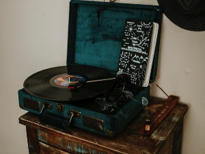 Игла на винилу - Iva Zaniki