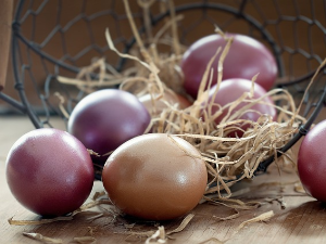 Ускршња недеља Еурорадија