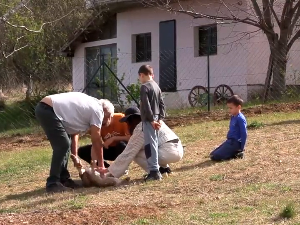 Зашто су Ивана и Владимир одлучили да живе у Плочнику код Прокупља