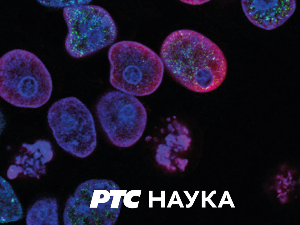 Кинески мега пројекти: Дивовска ветротурбина на отвореном мору