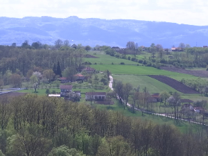 Како унапредити воћарску производњу у условима климатских промена? 