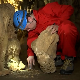 Научници пронашли више од стотину животињских врста у Ресавској пећини
