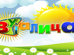 Зујалица	ц.08 ем.24