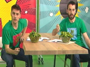 Хемија разбија митове: Лимун