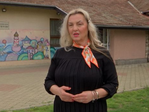 Савине пчелице