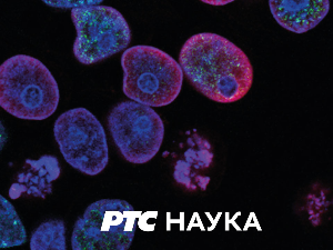 Филозофија и… Морал и право, Херберт Харт