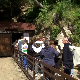 Ресавска пећина –  бисер који је природа вајала 80 милиона година, посети50 хиљада туриста годишње