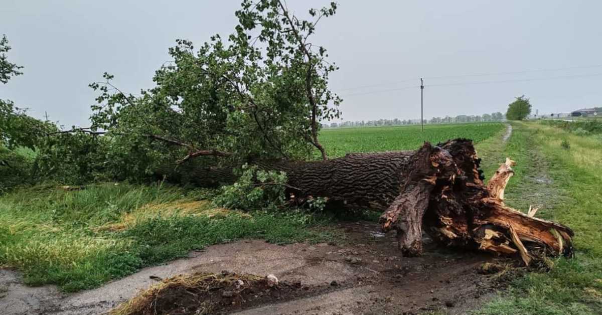 Отклањају се последице невремена и процењује штета, повукле се реке у корита у Новом Пазару