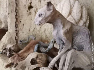 Еко минијатуре/ подземне тајне-Петроварадин 2.