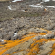 Рђаве реке Аљаске, топи се пермафрост, бистре воде нису више плаве