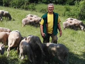  Бацамо годишње на стотине тона вуне, а носимо синтетику - зна ли Србија где јој је рабош?