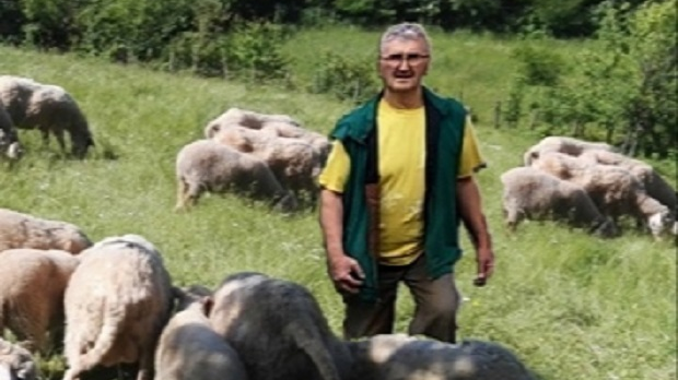  Бацамо годишње на стотине тона вуне, а носимо синтетику – зна ли Србија где јој је рабош?