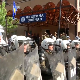 Годину дана од протеста у Звечану – забрањени динар и српски производи, учестали напади и хапшења  