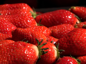 Шта отежава продају јагода?    