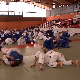 У међународном џудо тренинг кампу у Кикинди борци из више од 15 репрезентација
