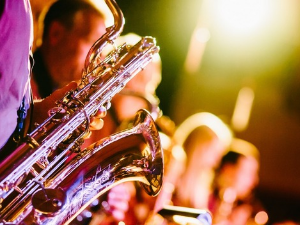 Концерт - Војислав Спасић