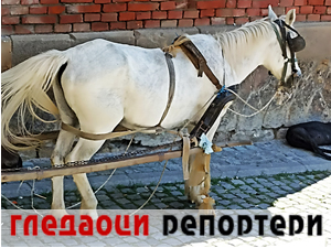 Гледаоци репортери 16. јун 2024.