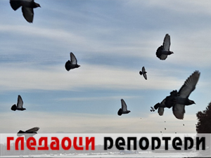 Гледаоци репортери 23. јун 2024.