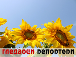 Гледаоци репортери 24. јун 2024.
