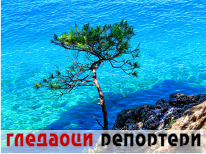 Гледаоци репортери 26. јун 2024.
