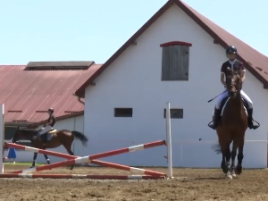 Шабац: Какав је наставак каријере галопера