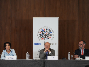 Међународни посматрачи: Локални избори добро организовани, изборни дан протекао углавном глатко