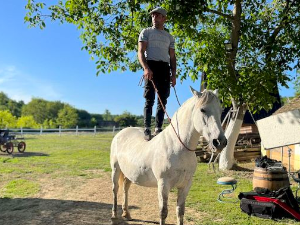 Романипен: Коњи ромске душе