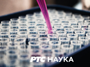 Квадратура круга: Историја и путеви хлеба