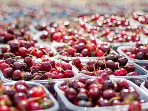 Од Ритопека до београдских пијаца цена трешања пет пута скочи – коме су се осладиле ове сезоне