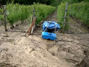 Невреме није погодило све њиве - у зони градоносног облака потпуно уништени усеви