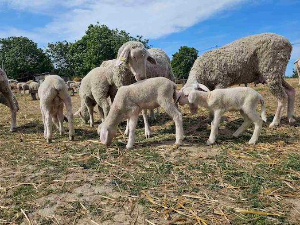 Знање имање-2.6.2024.