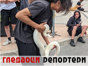 Гледаоци репортери 10. јун 2024.
