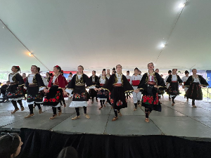 Медијска мрежа српске дијаспоре: Српска разгледница из Америке